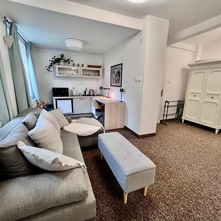 Bl - The Townhouse, 24hr Self Check-in, Free Private Parking, Garden, Adjacent To Beautiful Park, Centre 5 Min Walk Daire Banská Bystrica